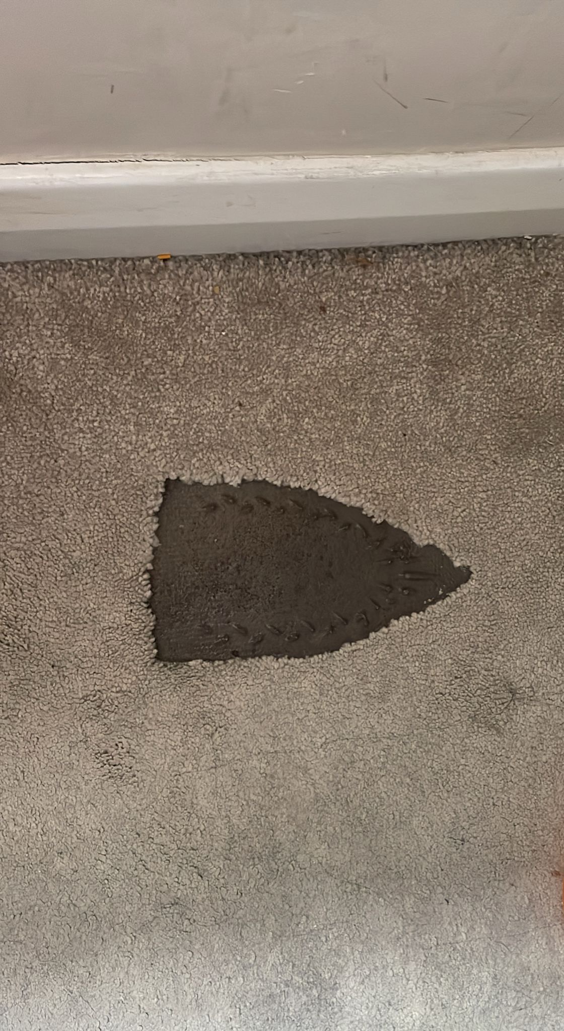 Carpet burn repair example