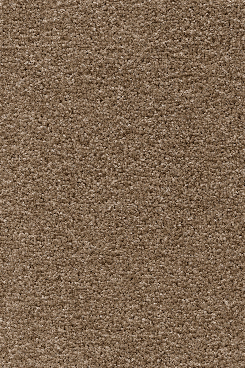 Malted Barley